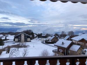 Appartements Appartement d'une chambre a Thollon les Memises a 360 m des pistes avec vue sur le lac et balcon amenage : photos des chambres