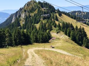 Appartements Appartement d'une chambre a Thollon les Memises a 360 m des pistes avec vue sur le lac et balcon amenage : photos des chambres