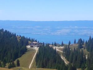 Appartements Appartement d'une chambre a Thollon les Memises a 360 m des pistes avec vue sur le lac et balcon amenage : photos des chambres