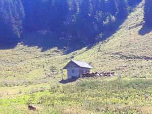 Appartements Appartement d'une chambre a Thollon les Memises a 360 m des pistes avec vue sur le lac et balcon amenage : photos des chambres