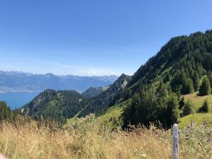 Appartements Appartement d'une chambre a Thollon les Memises a 360 m des pistes avec vue sur le lac et balcon amenage : photos des chambres