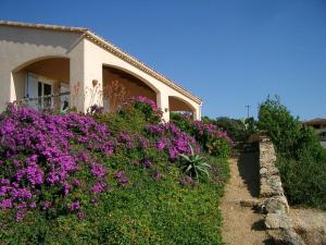 Maisons de vacances Maison de 3 chambres a Sartene a 400 m de la plage avec vue sur la mer jardin amenage et wifi : photos des chambres