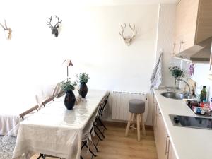 Cozy Apartment Mountain View - 70m²