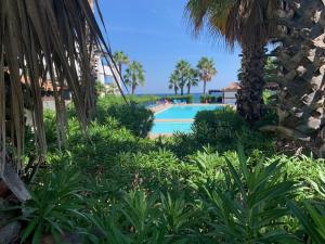 Appartements Les pieds dans l'eau en Corse ! : photos des chambres