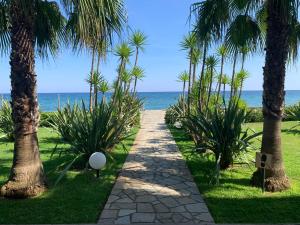 Appartements Les pieds dans l'eau en Corse ! : photos des chambres