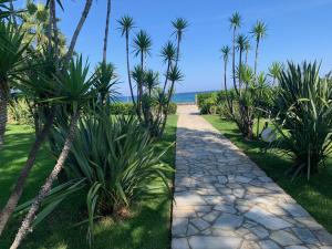 Appartements Les pieds dans l'eau en Corse ! : photos des chambres