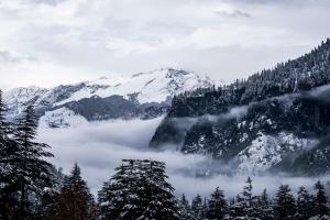 Zen Manali by Keekoo Stays