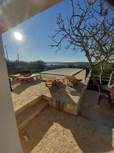 oliveoasis - Protega