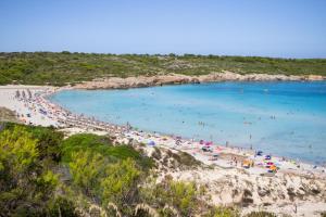 Apartamentos Posidonia