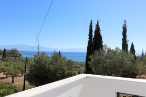 XENIOS ZEUS 1 Messinia Greece