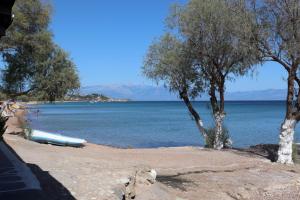 XENIOS ZEUS 1 Messinia Greece