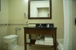 Standard King Non Smoking room in Comfort Inn Syosset-Long Island