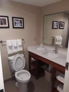 Queen Suite room in Comfort Inn & Suites Grenada