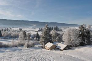 Maisons de vacances Gite du Fourperet-Parc Naturel du Haut-Jura : photos des chambres