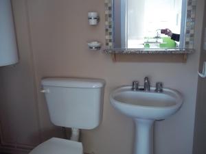 Alquilo monoambiente por día