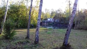 Maisons de vacances Bungalow de 2 chambres avec vue sur le lac piscine partagee et jardin clos a Saint Hilaire sous Romilly : photos des chambres