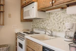 Ski Lodge Studio condo