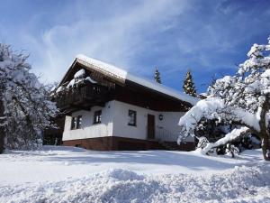 Cozy Holiday Home in Lo burg near Ski Area