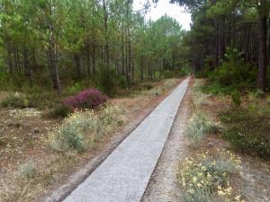 Maisons de vacances Luxurious Holiday Home in Gironde with Private Garden : photos des chambres