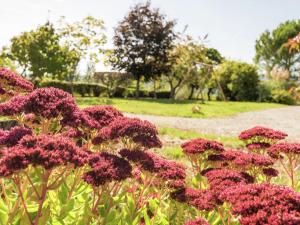 Maisons de vacances Graceful Holiday Home in Corr ze with Terrace : photos des chambres