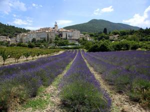 Maisons de vacances Nice holiday home with private swimming pool near Valence : photos des chambres