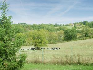 Maisons de vacances Lovely Holiday Home in Th dirac with Swimming Pool : photos des chambres