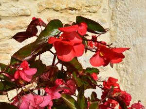 Maisons de vacances Spacious holiday home with private pool : Maison de Vacances 3 Chambres 