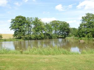 Maisons de vacances Beautiful secluded and quiet house in Champvert with pond : photos des chambres