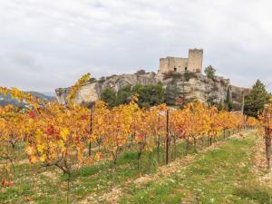 Maisons de vacances Nice house with garden and private pool in Vaison La Romaine : photos des chambres