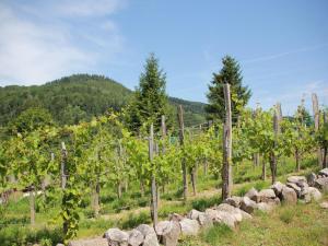 Chalets Tidy chalet with dishwasher, in the High Vosges : photos des chambres