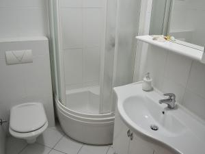 Luxurious Apartment in Dalmatia near the Sea 