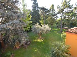 furry frinds with family home