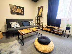 Apartman Park Žilina & Free Parking