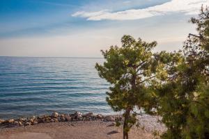 Kalafatis beach home Parnassos Greece