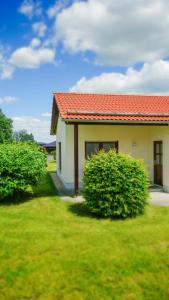 Trixi Park Zittauer Gebirge - Ferienhäuser, Hotel und Camping
