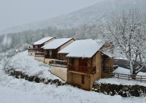 Maisons de vacances Chalets 