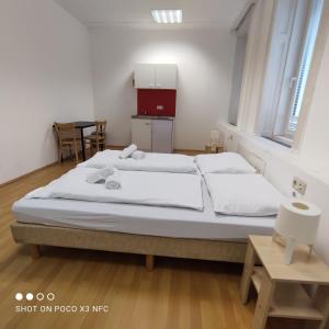 Wien City Room
