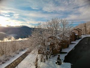 Maisons de vacances Chalets 