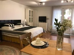 Le studio Chez Marilé - 马恩河畔布里