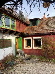 Maisons de vacances Chalet pleine nature : photos des chambres