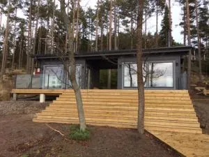 Pikkumerikotka - Vuosnainen