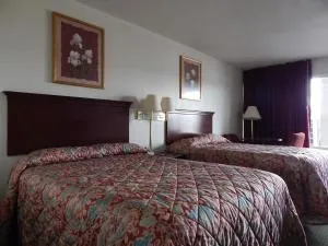 植物城骑士宾馆 - 泽弗希尔斯