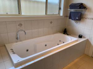 Accommodation on Anderson, Mount Gambier