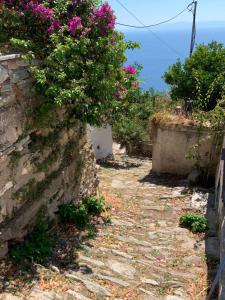 Bouzouki panoramic sea-view Skopelos Greece