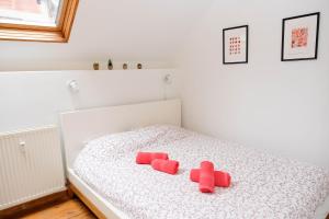 Les Cerisiers - Duplex de Standing au Centre de Namur