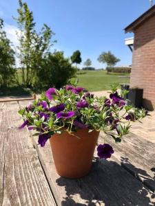 Camping Lagewald Vakantiehuis