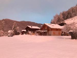 Appartements Appartement Chalet La Merlerie : photos des chambres