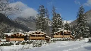 Chalets Grands Montets - 夏蒙尼-勃朗峰