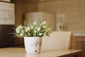 Apartments Paradisos