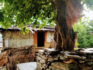 Narchyang Community Homestay